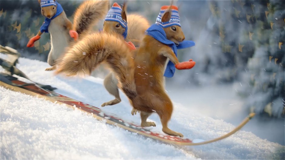 Животное на лыжах