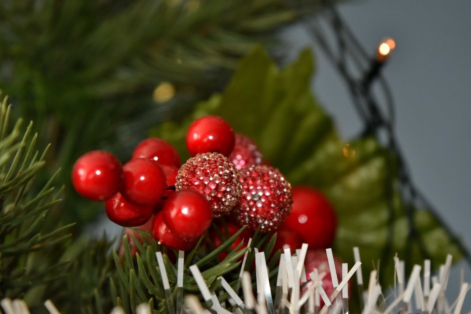 Рождественское растение с ягодами