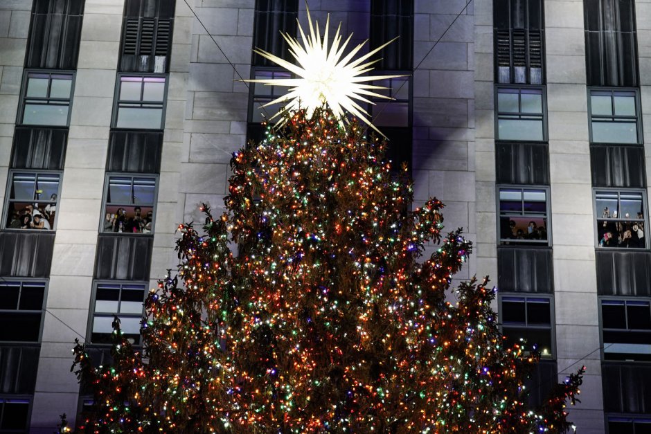 Рождественские елки Нью Йорка