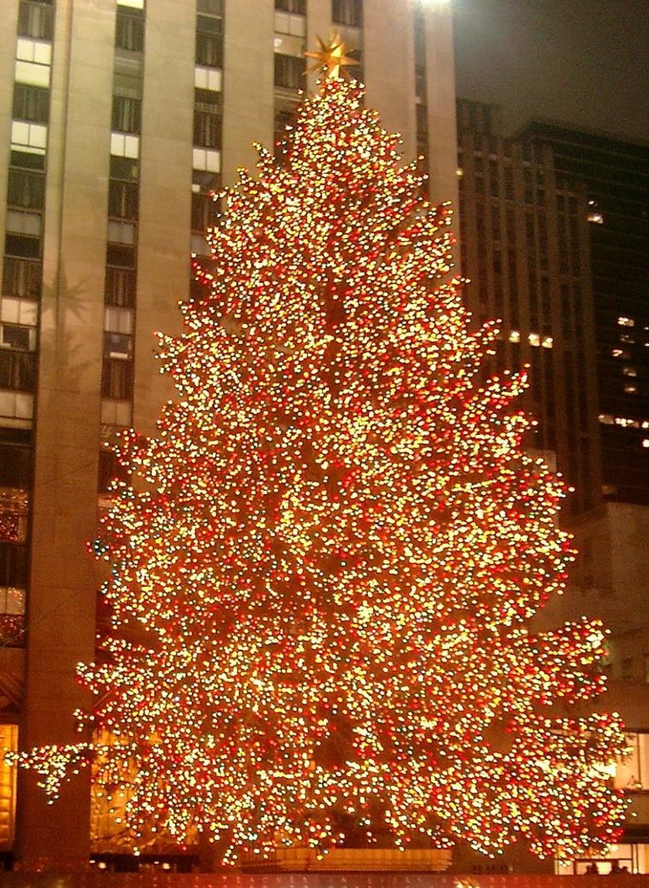 Американская Рождественская елка