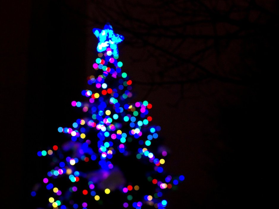 Новогодняя елка на темном фоне