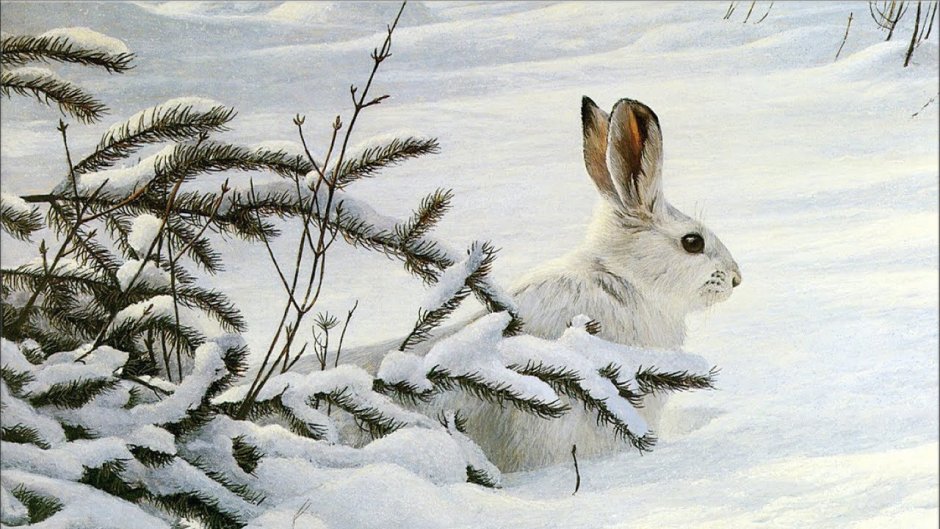 Роберт Бейтман художник зима