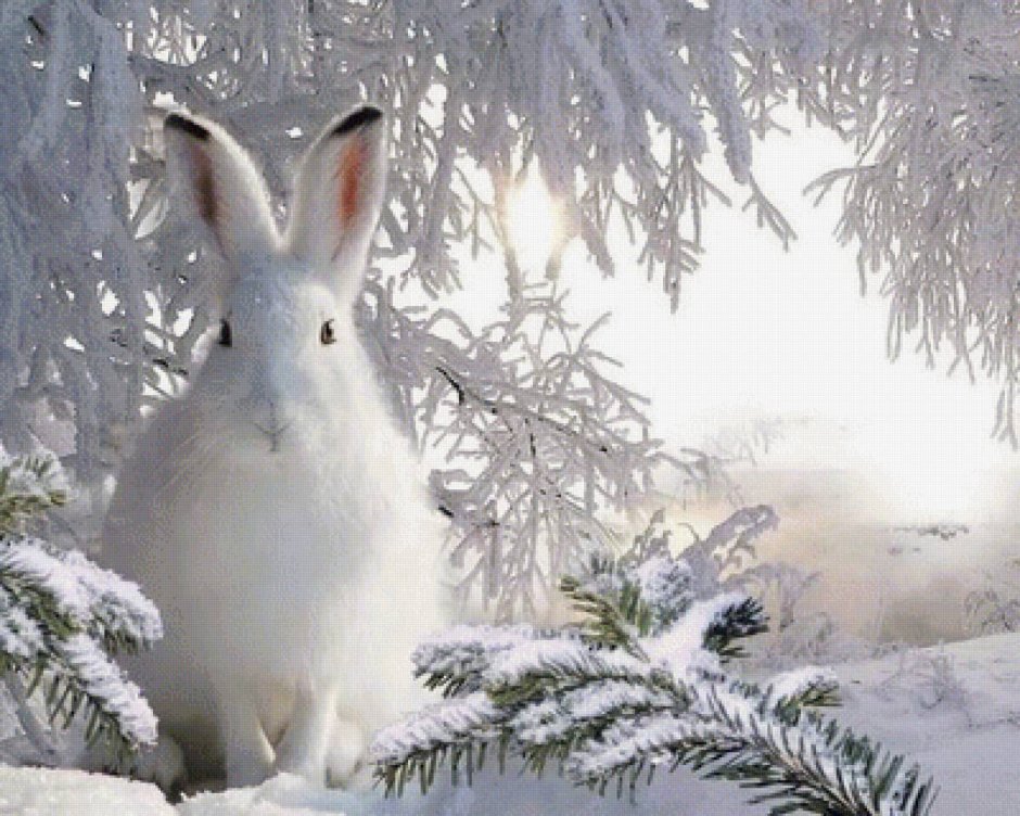 Заяц Беляк зимой в лесу