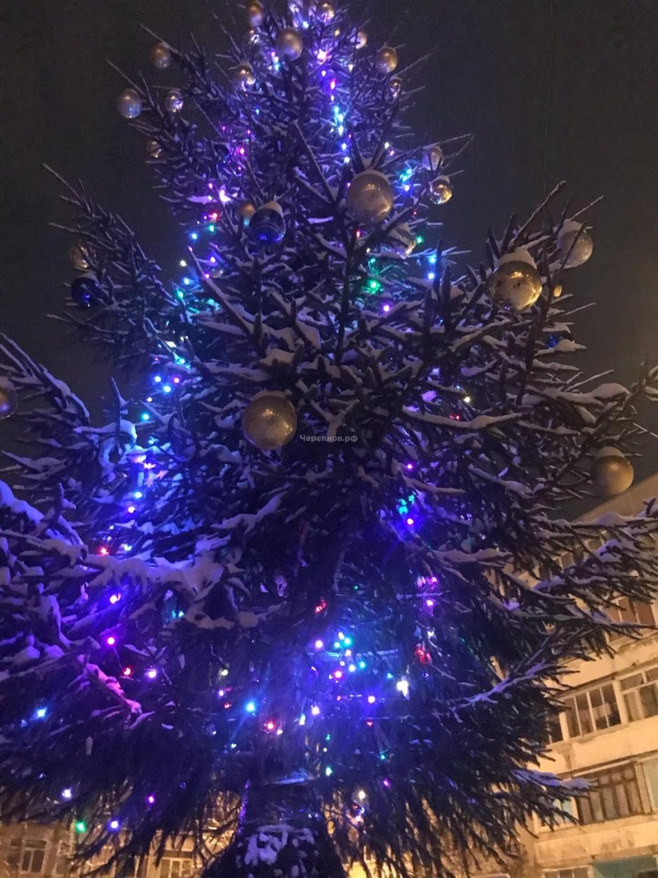 Новогодняя елка в Торжке