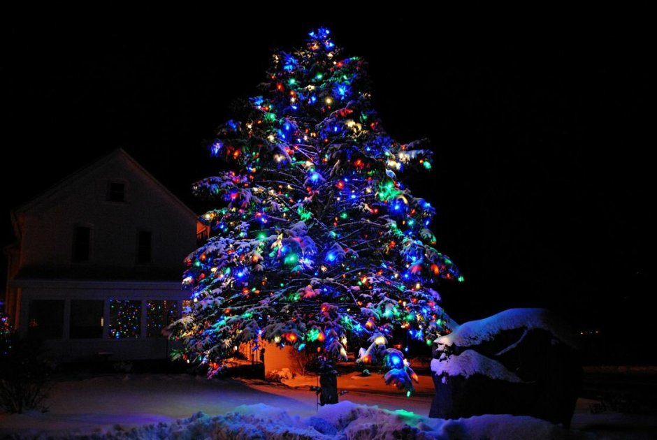 Новогодняя елка на улице