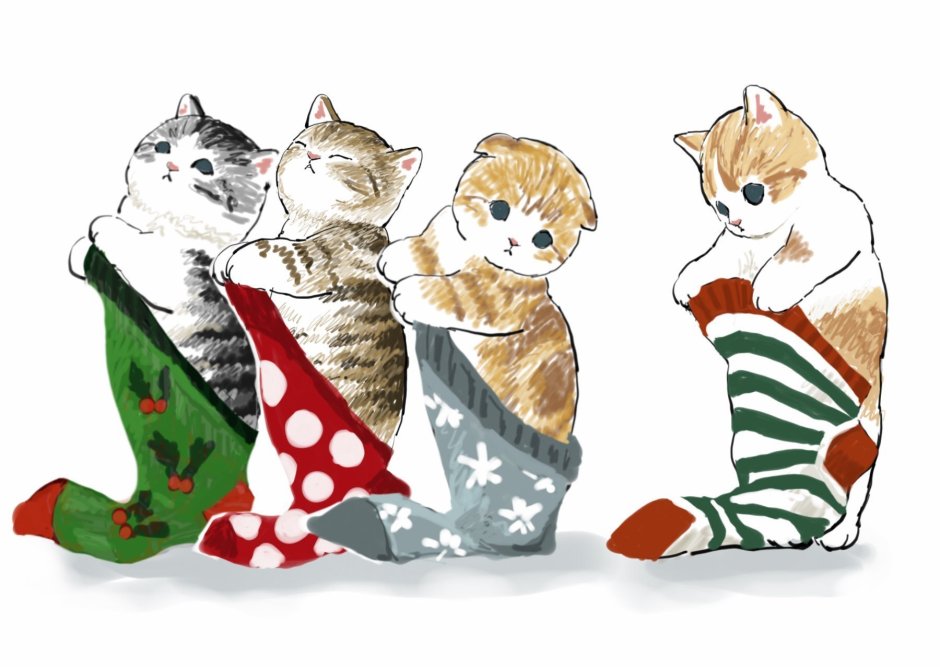 Котята в новогодних носках