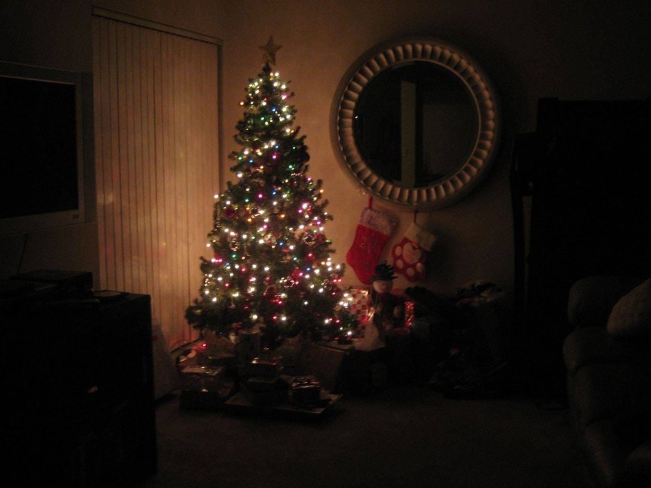 Новогодняя елка в комнате