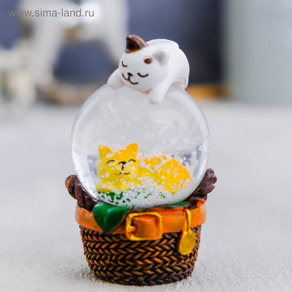 Снежный шар с котом