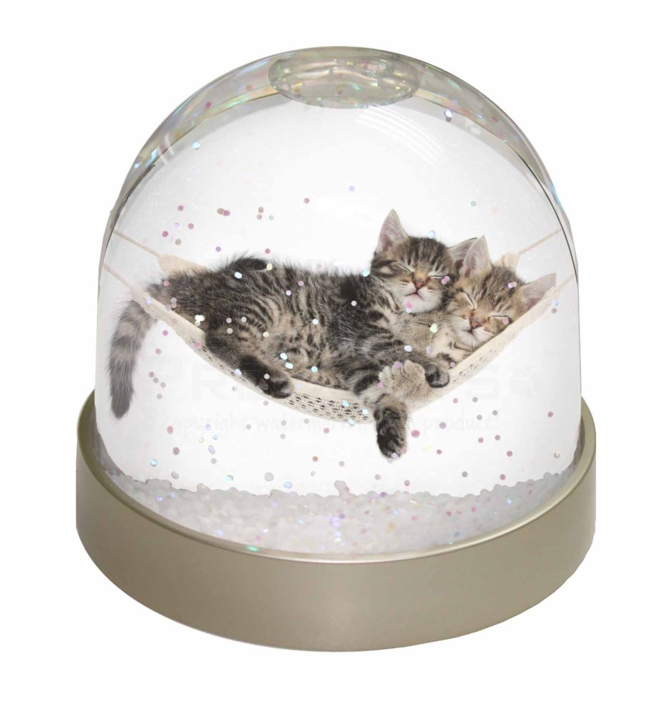 Snow Globe Cat Tray