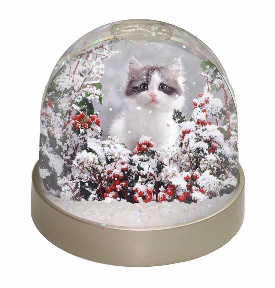Снежный шар Lucky Cat