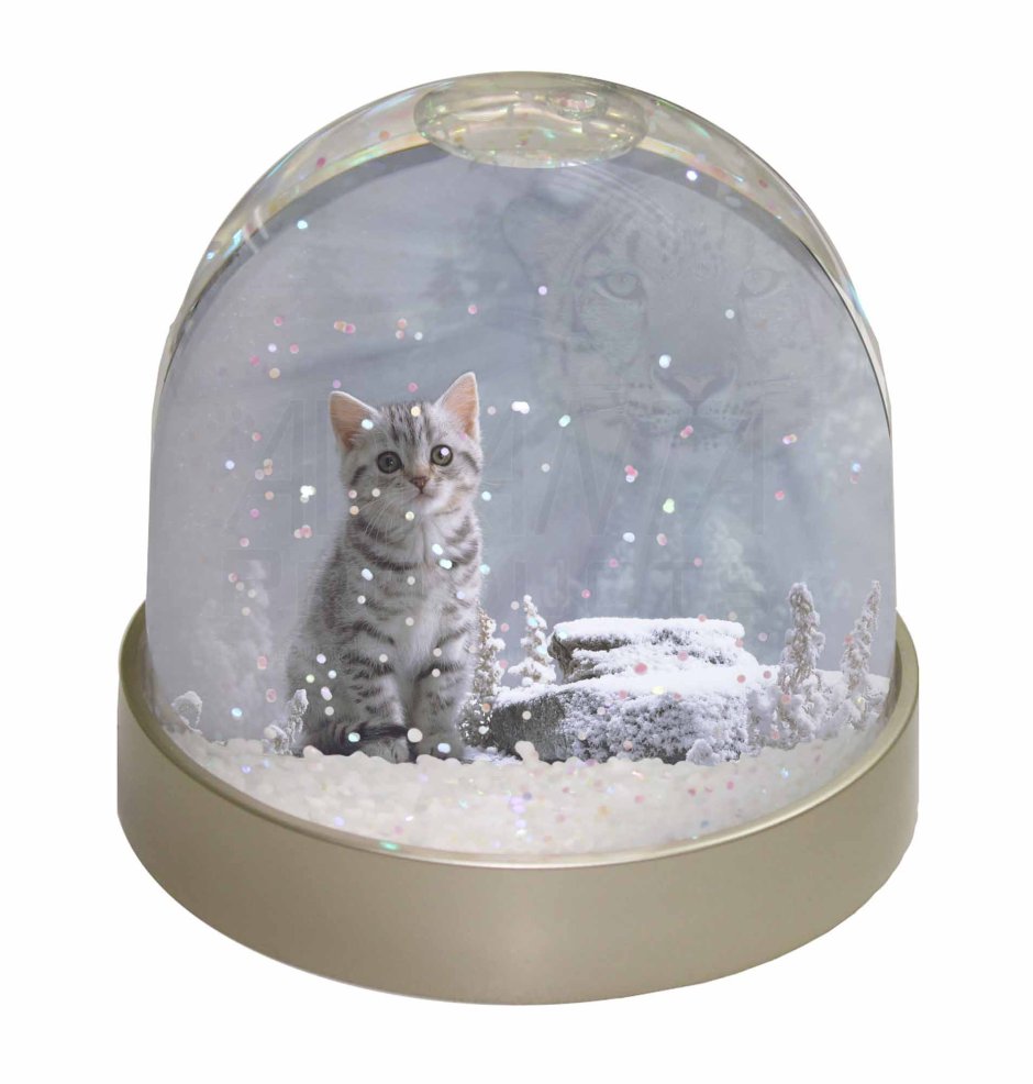 Снежный шар кот в туалете