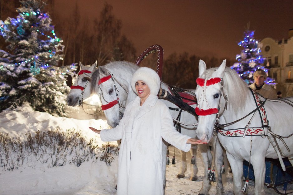 Дед Мороз с лошадкой