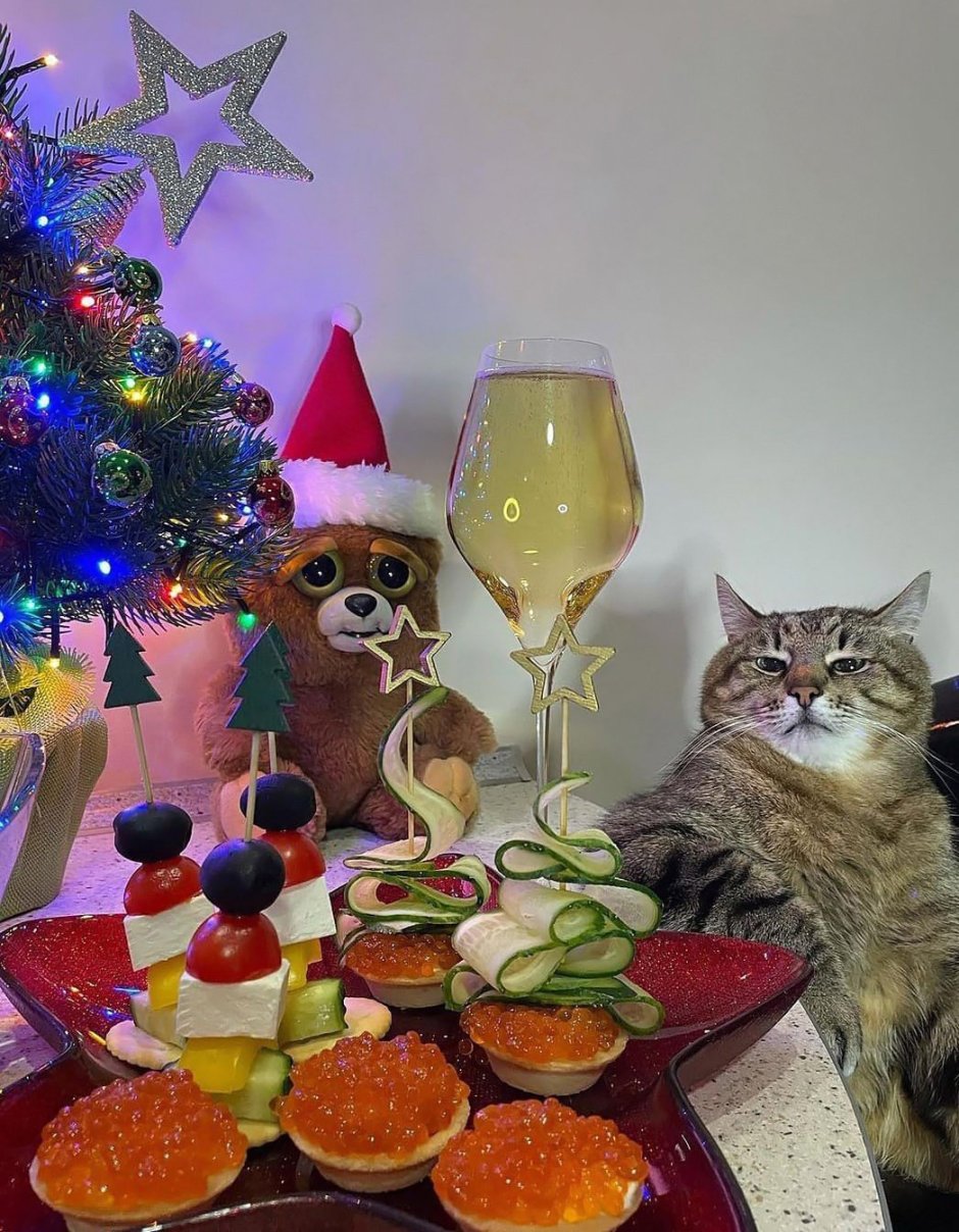 Новогодний кот с бокалом