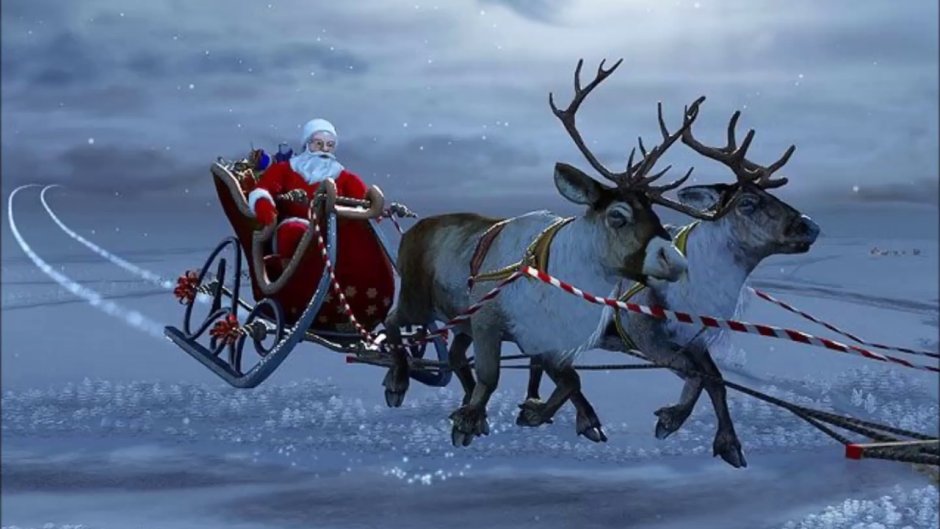 Северный олень в упряжке Санта Клауса