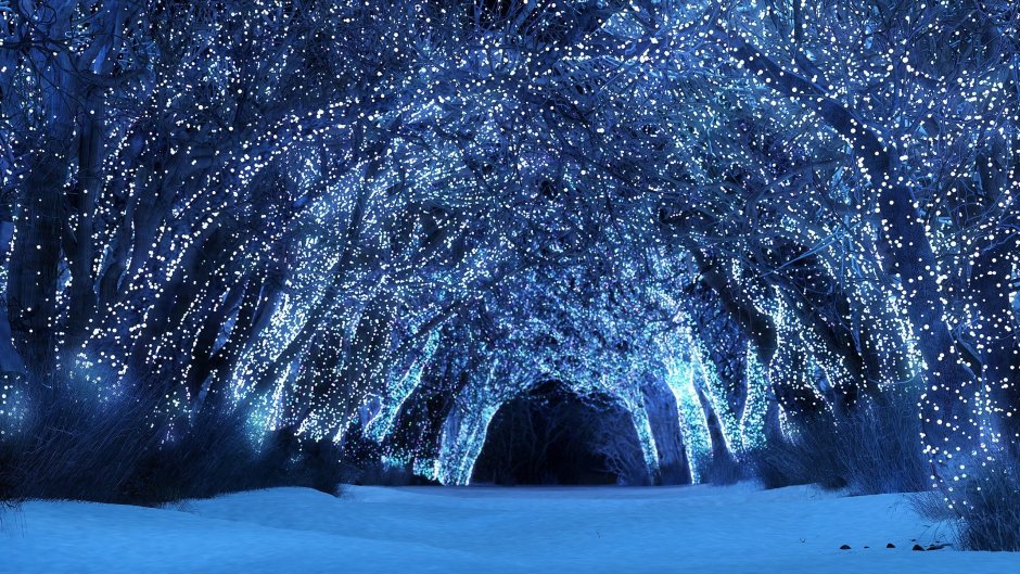 Сказочный Волшебный зимний лес