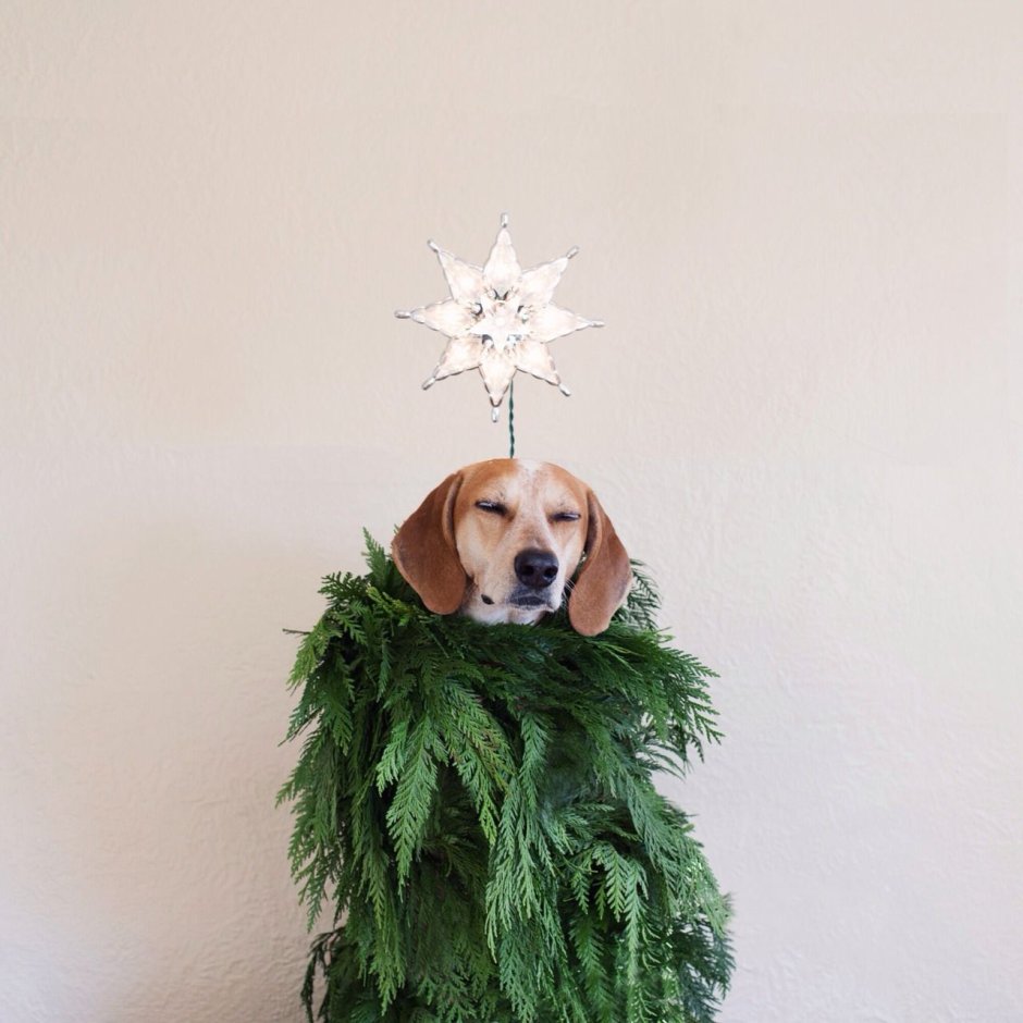 Собака елка новый год