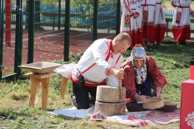 Кошки Новотимбаево Тетюшский район