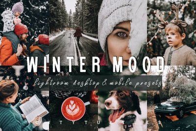 Winter mood preset for Photoshop
