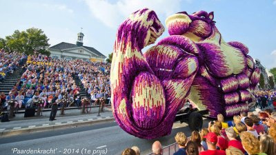 Парад цветов Bloemencorso в Голландии