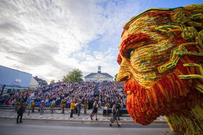 Фестиваль цветов Bloemencorso в Голландии