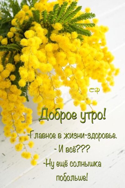 Весенние цветы Мимоза