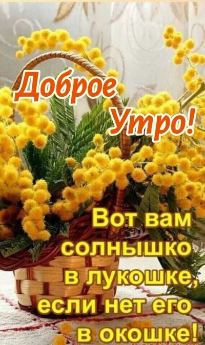 Отличного дня