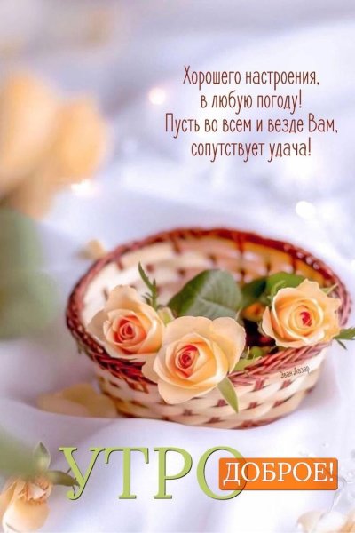 Доброе утро капуста