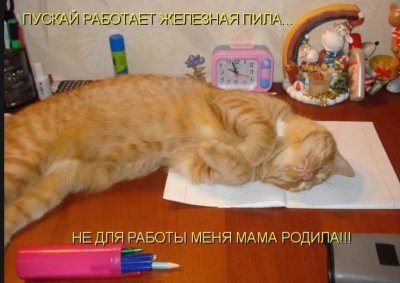 Пускай работает железная пила не для работы меня мама родила