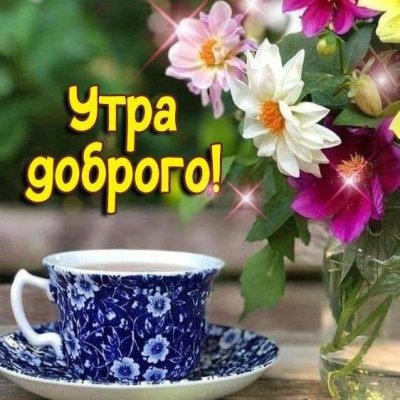Доброго летнего утра и хорошего дня