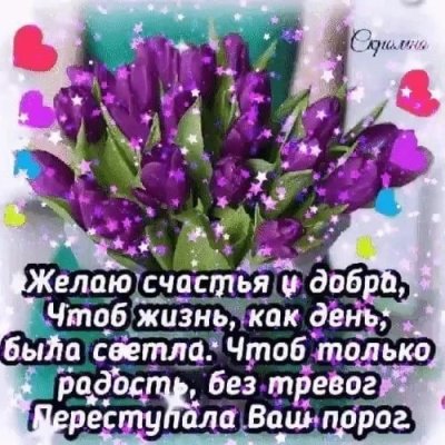 Желаю счастья и добра чтоб жизнь как день была светла