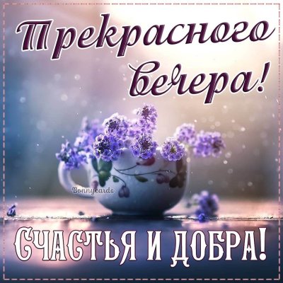 Доброго утра и отличного настроения на весь день