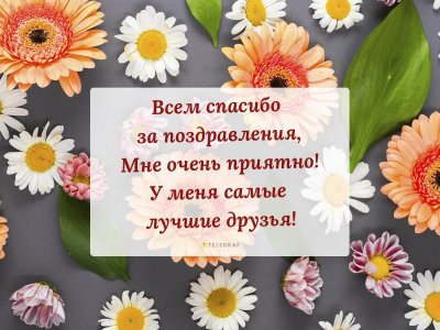 Столько света столько солнца столько зелени кругом Автор