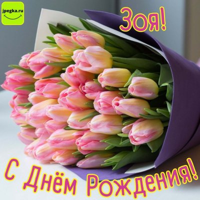 Короткие поздравления с днем рождения Софии в прозе своими словами