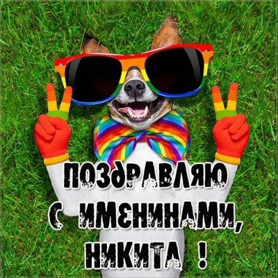 Поздравления с днём рождения Никите прикольные