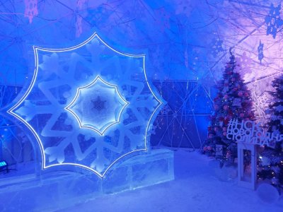Дом снежинки в Новосибирске