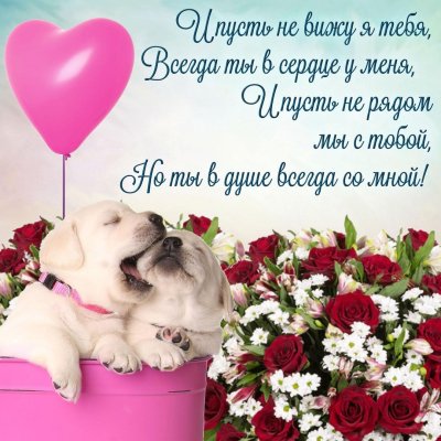 Открытки любимой женщине