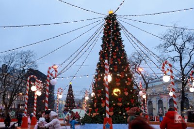 Елка на Манежной площади СПБ