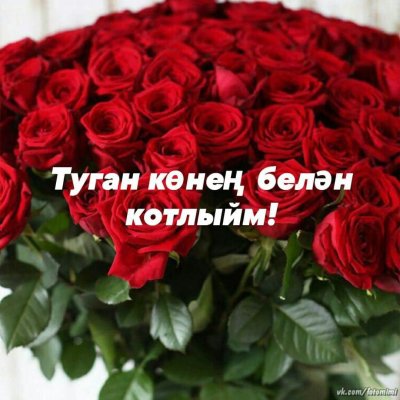 Шикарный букет красных роз