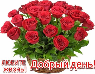 Поздравительный букет роз