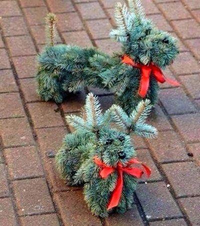 Поделки из еловых веток