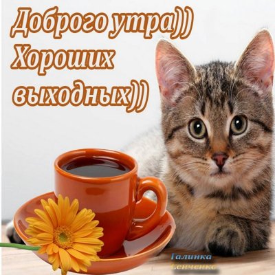 Открытки с добрым субботним утром
