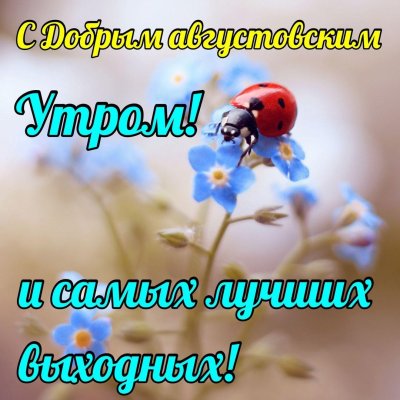 Доброго мирного утра и хорошего дня