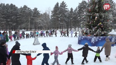 Зимние развлечения в Сосновом Бору