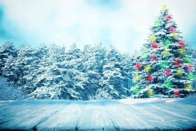 Новогодняя природа