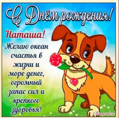 Прикольные поздравления с днем рождения