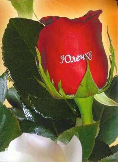 Надписи на цветах