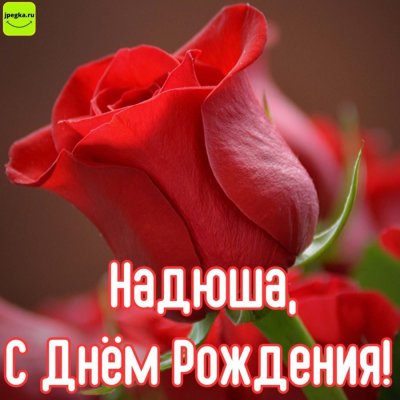 С днем рождения наденька