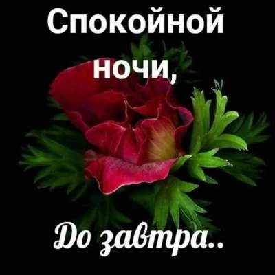 Спокойной ночи с цветами