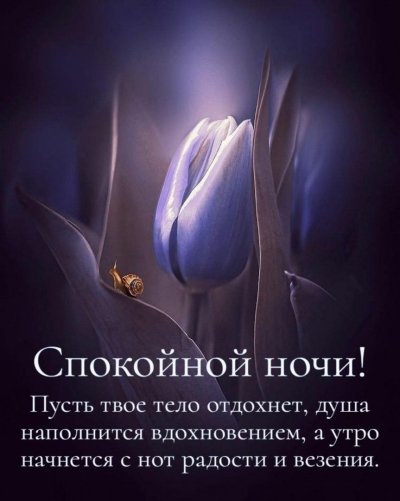 Мудрые пожелания спокойной ночи