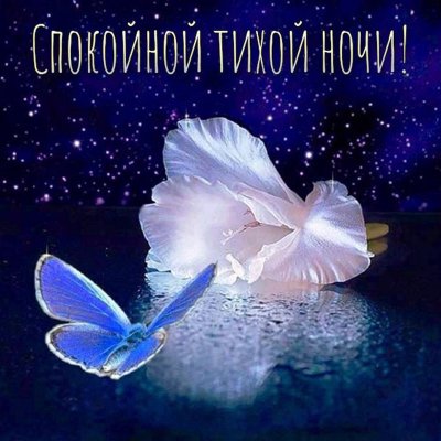 Открыточки спокойной ночи